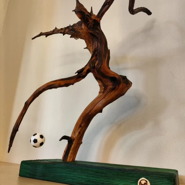 Fotballspiller