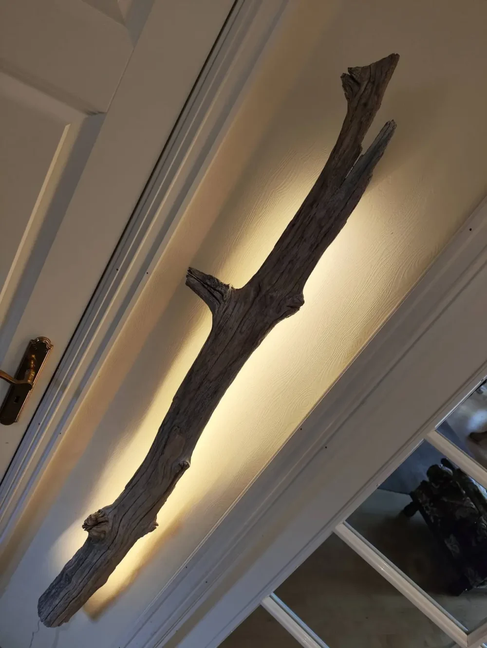 Hvitkalket eik
