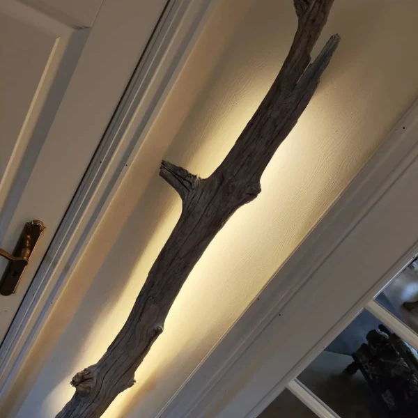 Hvitkalket eik