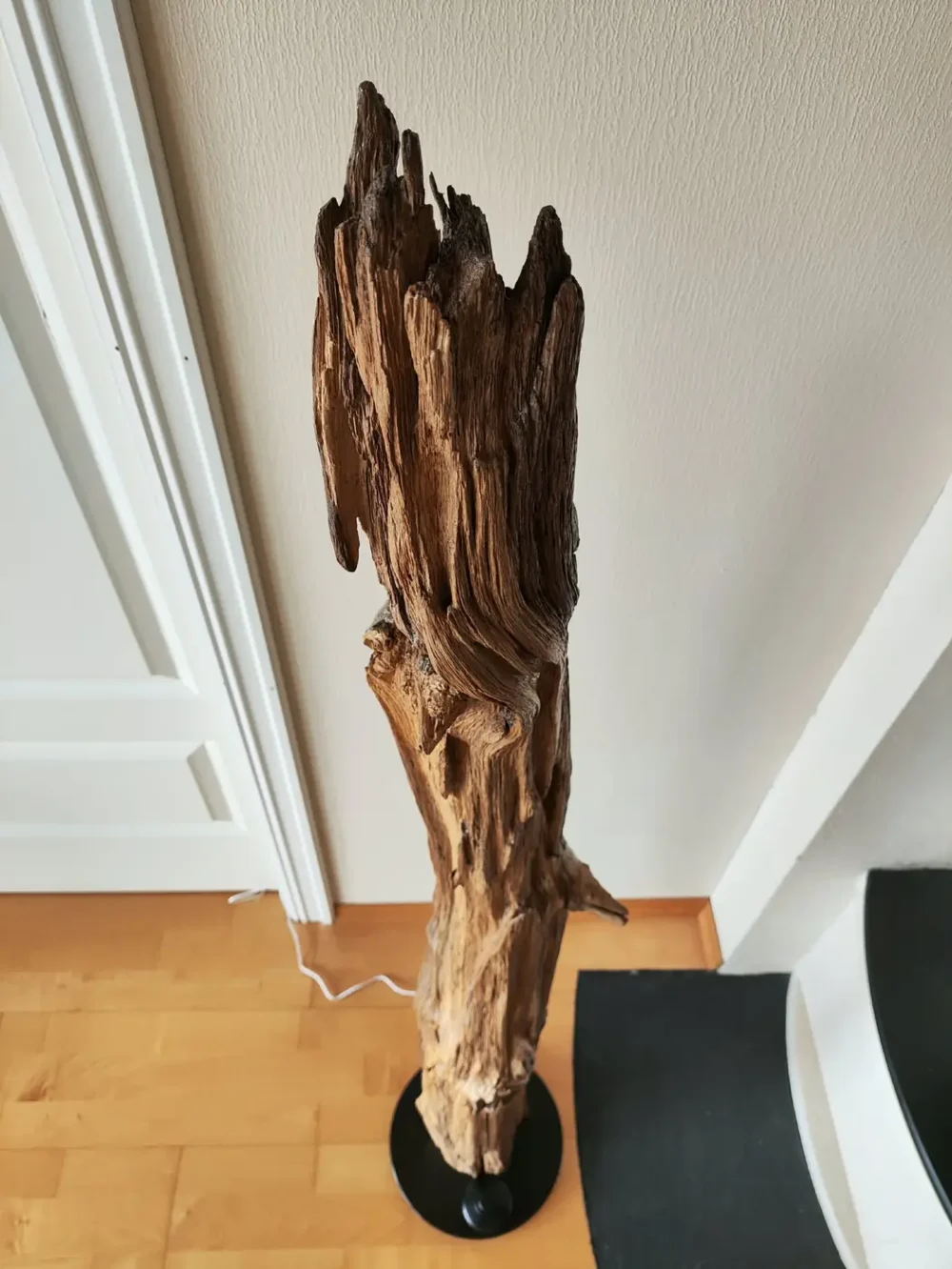 Lysende eikestamme - Bilde 3